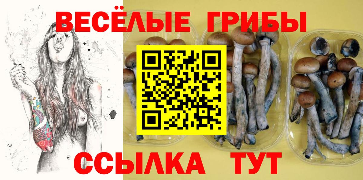 Галлюциногенные грибы мицелий Лесозаводск